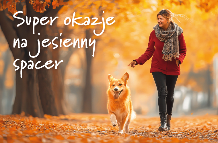 Jesienny spacer z psem