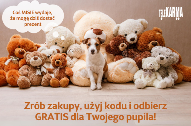 Zrób zakupy, użyj kodu i odbierz GRATIS dla Twojego pupila!