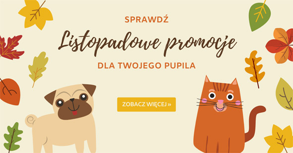 Listopadowe promocje dla Twojego pupila w Telekarmie!