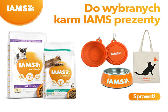 promocyjne zestawy karm iams dla psa i kota