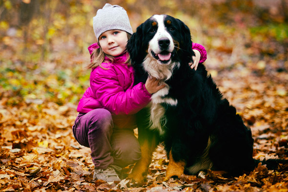 Jak dbać o sierść psa jesienią?