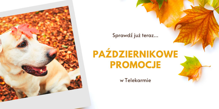 Październikowe promocje w Telekarmie