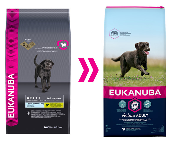 Eukanuba adult large sucha karma dla psa