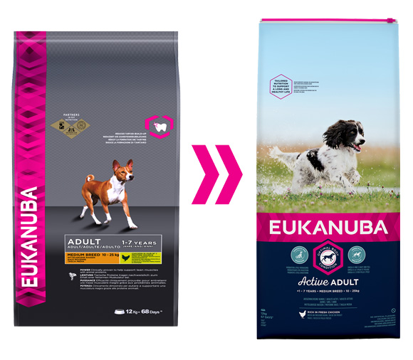 Eukanuba Adult medium