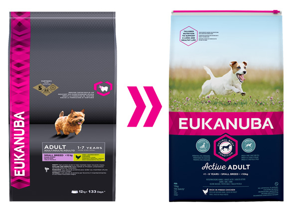 Eukanuba dla dorosłych psów ras małych
