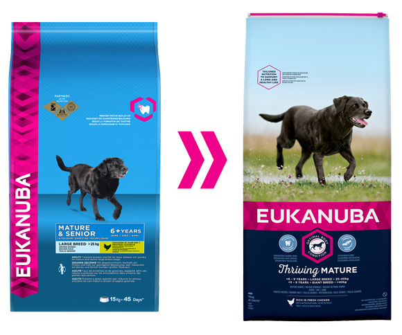 eukanuba dla starszych psów ras duzych i olbrzymich