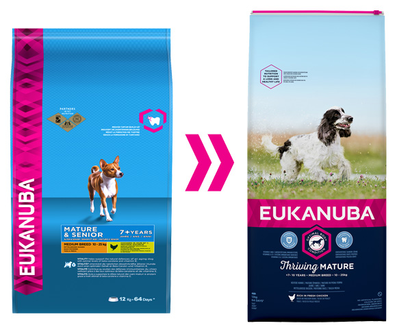 eukanuba dla starszych psów srednich ras
