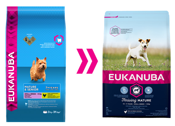 eukanuba dla starszych psów małych ras