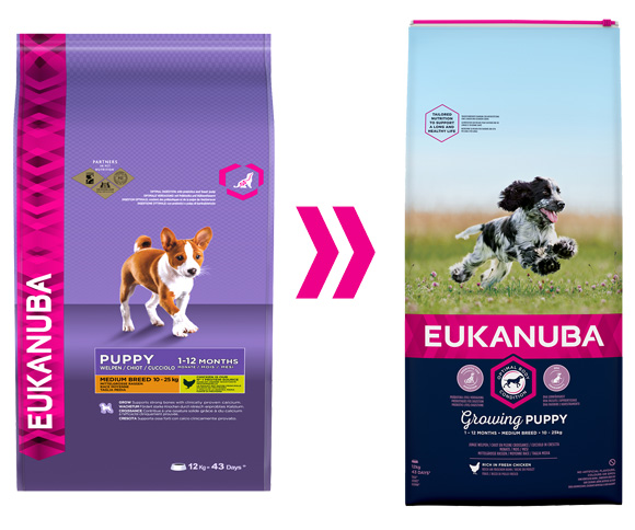 eukanuba karma dla szczeniąt ras srednich