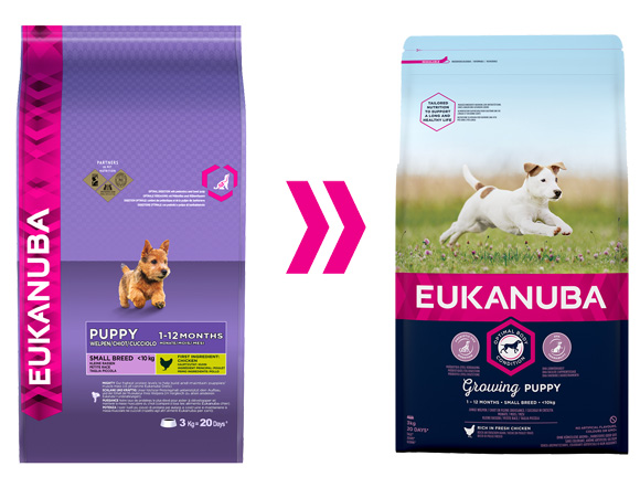 eukanuba karma dla szczeniąt ras małych