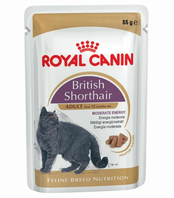 royal canin British Shorthair mokra karma dla kota