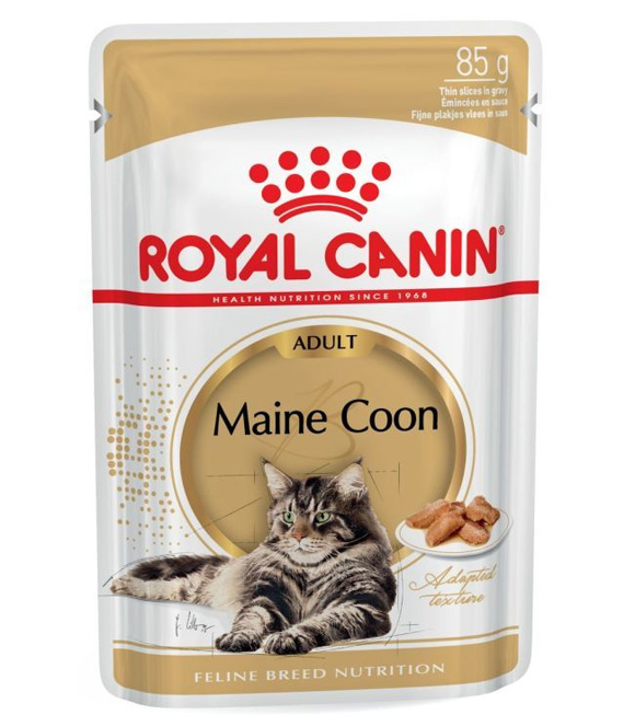 royal canin maine coon mokra karma dla kota