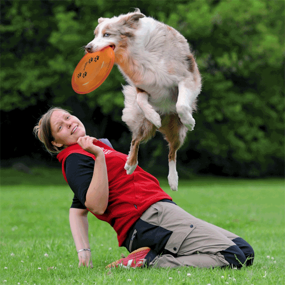 trixie frisbee dla psa