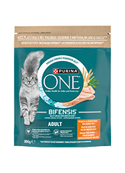 PURINA ONE ADULT KARMA DLA KOTA z kurczakiem