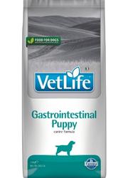 FARMINA VET LIFE GASTROINTESTINAL PUPPY KARMA DLA SZCZENIAKA