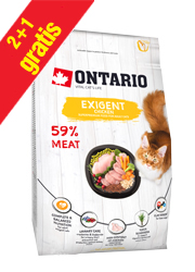 ONTARIO CAT EXIGENT KARMA DLA KOTA
