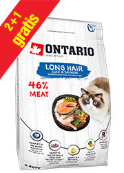 ONTARIO CAT LONG HAIR KARMA DLA KOTA