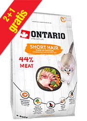 ONTARIO CAT SHORT HAIR KARMA DLA KOTA