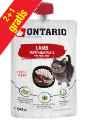 ONTARIO LAMB TASTY MEAT PASTE KARMA UZUPEŁNIAJĄCA DLA KOTA z jagnięciną