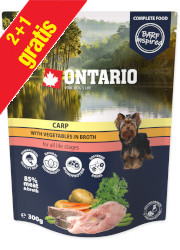 ONTARIO KARP Z WARZYWAMI W BULIONIE KARMA DLA PSA