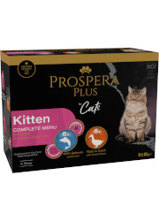 PROSPERA PLUS KITTEN MOKRA KARMA DLA KOCIĄT mix 2 smaków