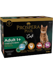 PROSPERA PLUS ADULT MOKRA KARMA DLA KOTA mix 4 smaków