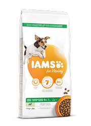 IAMS FOR VITALITY ADULT SMALL / MEDIUM KARMA DLA PSA z jagnięciną