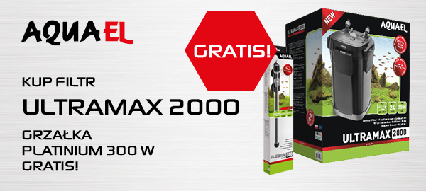 aquael filtr+grałka strona kategorii