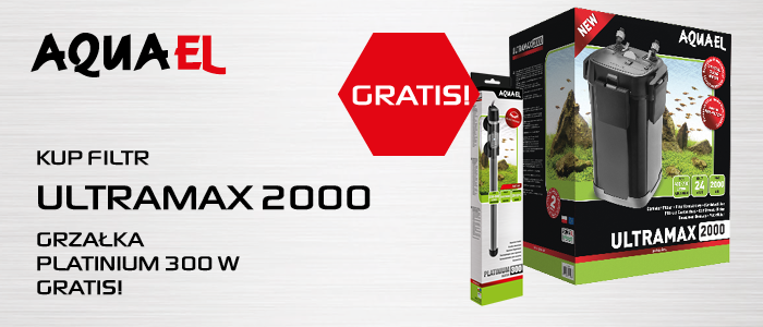 aquael filtr+grałka baner głowny