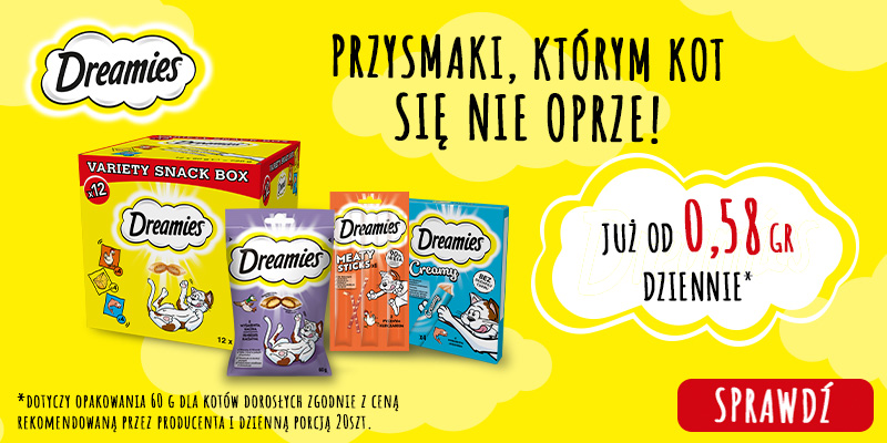 Dreamies str. główna