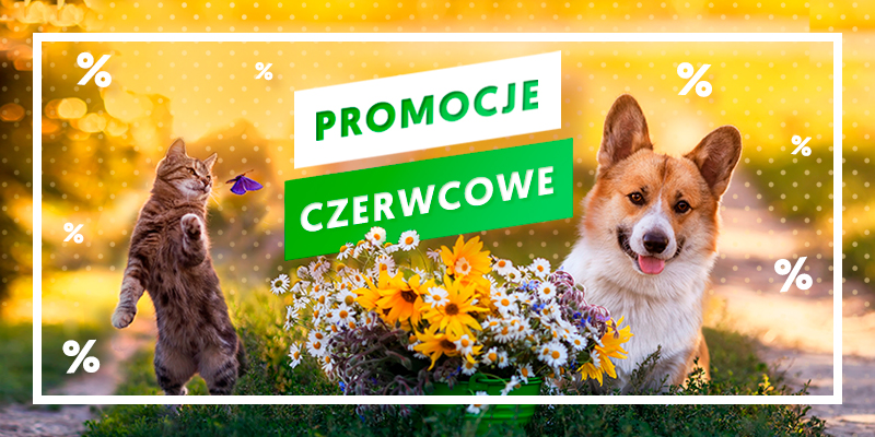 Promocje czerwcowe 2023