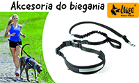 dingo biegaj z psem baner boczny