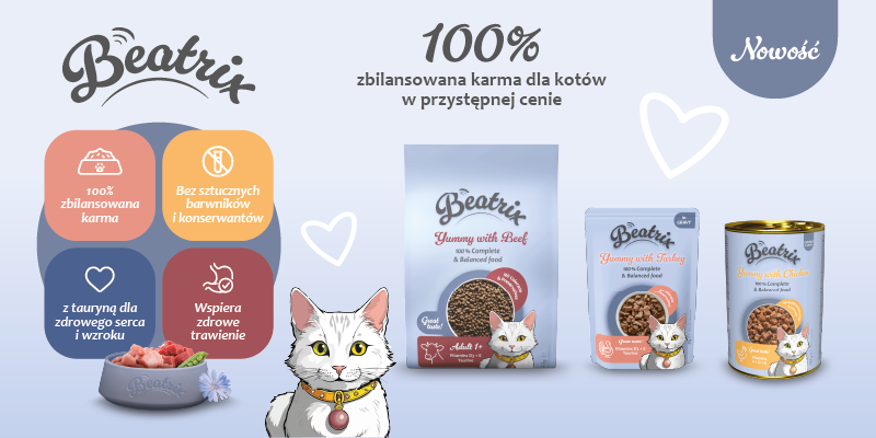 Beatrix baner glowny