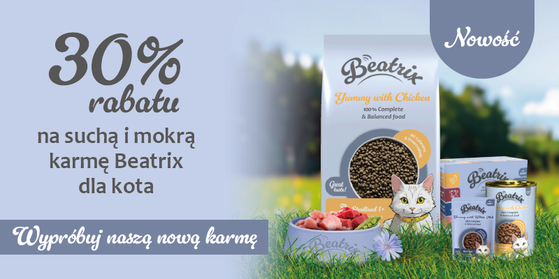 Beatrix baner glowny