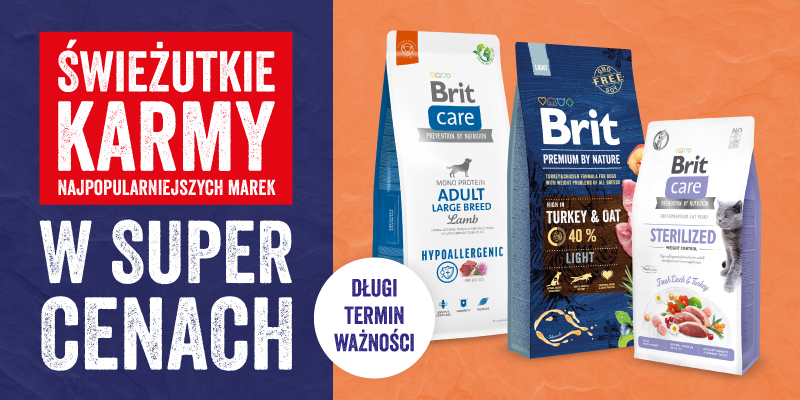 świeżutkie karmy w super cenach