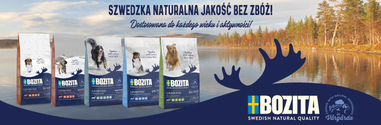 Bozita str. kat. bez promo pies