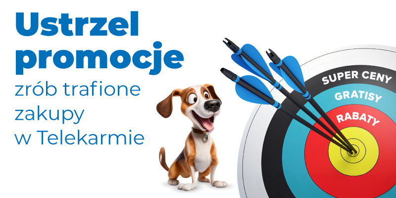 czerwcowe promocje 2025 baner glowny