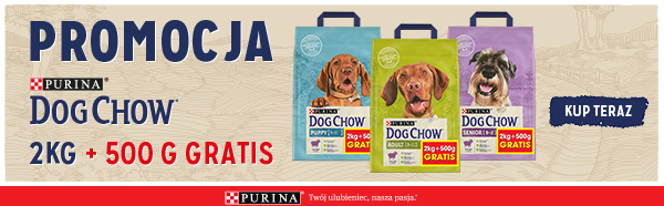 dog chow 2kg+500g gratis baner kategoria suche