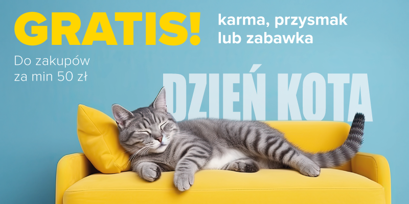 Dzień Kota 2026