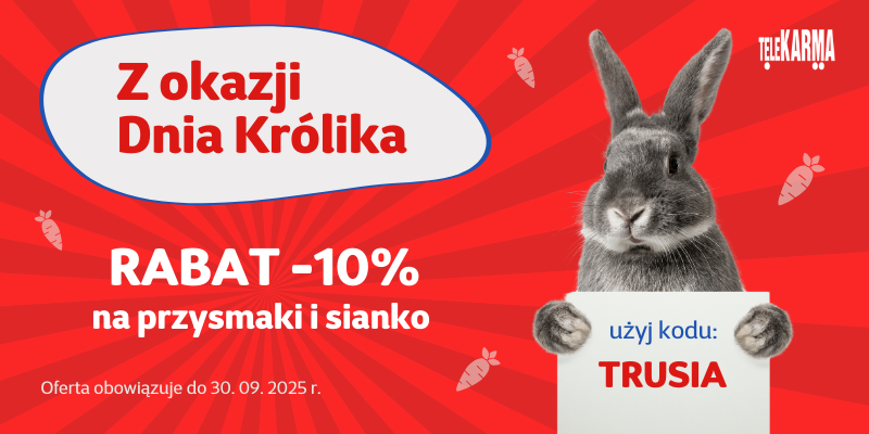 Dzien_krolika_2025