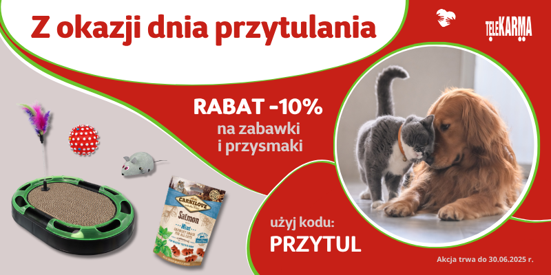dzien przytulania 2025 10% zabawki przysmaki