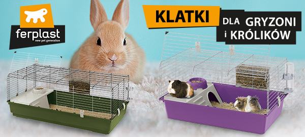 ferplast katki dla gryzoi i królików strona glowna