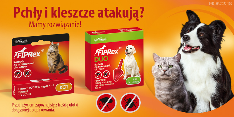Fiprex str. główna