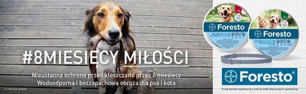 Foresto strona kategorii na pasozyty / pies
