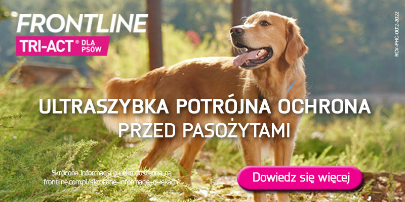 Frontline Combo str. główna pies