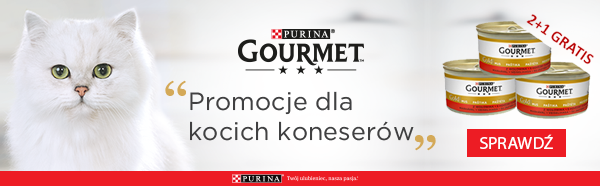 gourmet gold strona kategorii promocja 1+1 gratis