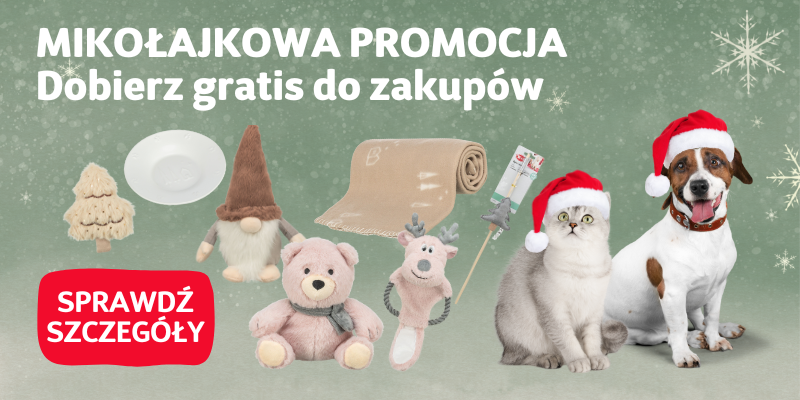 mikolajki 2025 baner glowny