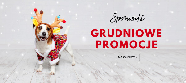 grudniowe_promocje_w_telekarmie_2019