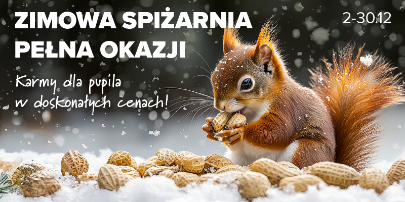 Zimowa spizarnia super okazji grudzień 2025