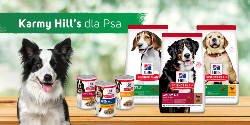 Hills dla psa- strona główna